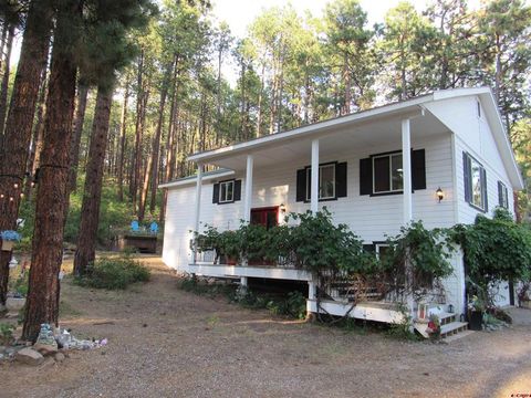 121 Green Ridge Drive Drive Bayfield CO 81122