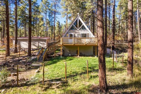 246 Lake View Drive Bayfield CO 81122