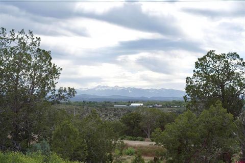 Lot 3 Road 24.3 Cortez CO 81321
