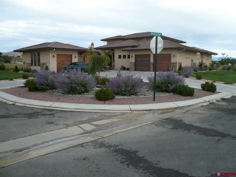Photo of 3000 Belle Haven Way, Montrose, CO 81401 (MLS # 833401)