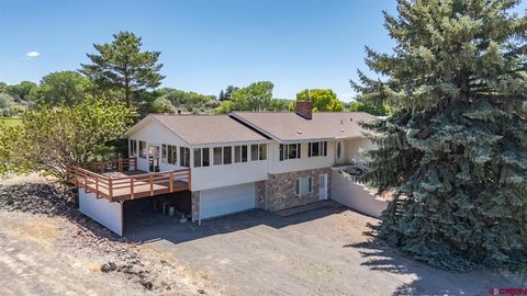 Photo of 21369 Spruce Lane, Cedaredge, CO 81413 (MLS # 836209)