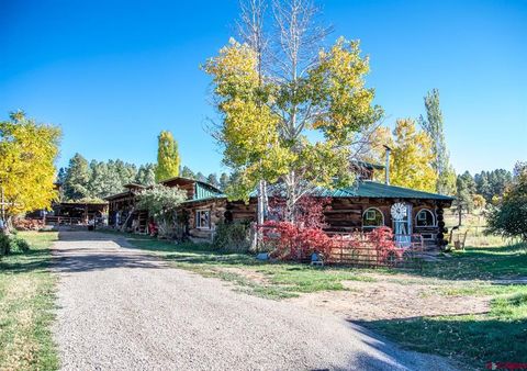 43393 Road M Mancos CO 81328