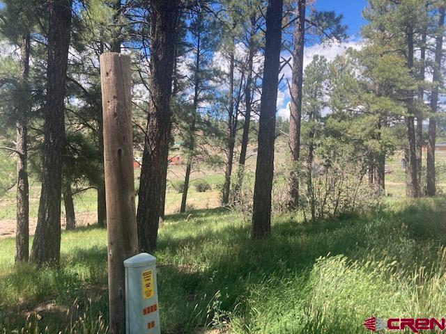 117 Ute Drive