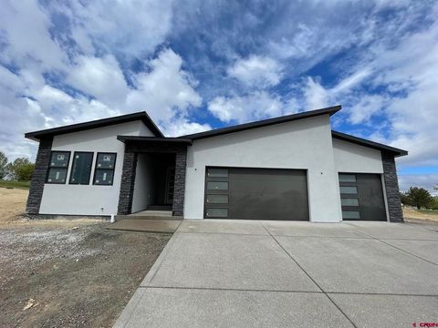 Photo of 3732 Chestnut Dr, Montrose, CO 81401 (MLS # 834480)