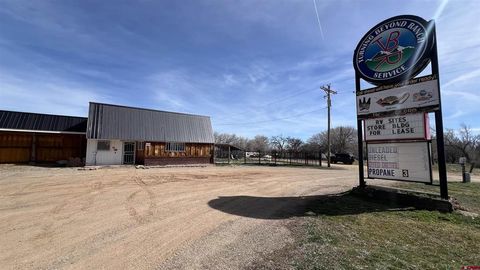 6740 140 Highway Hesperus CO 81326