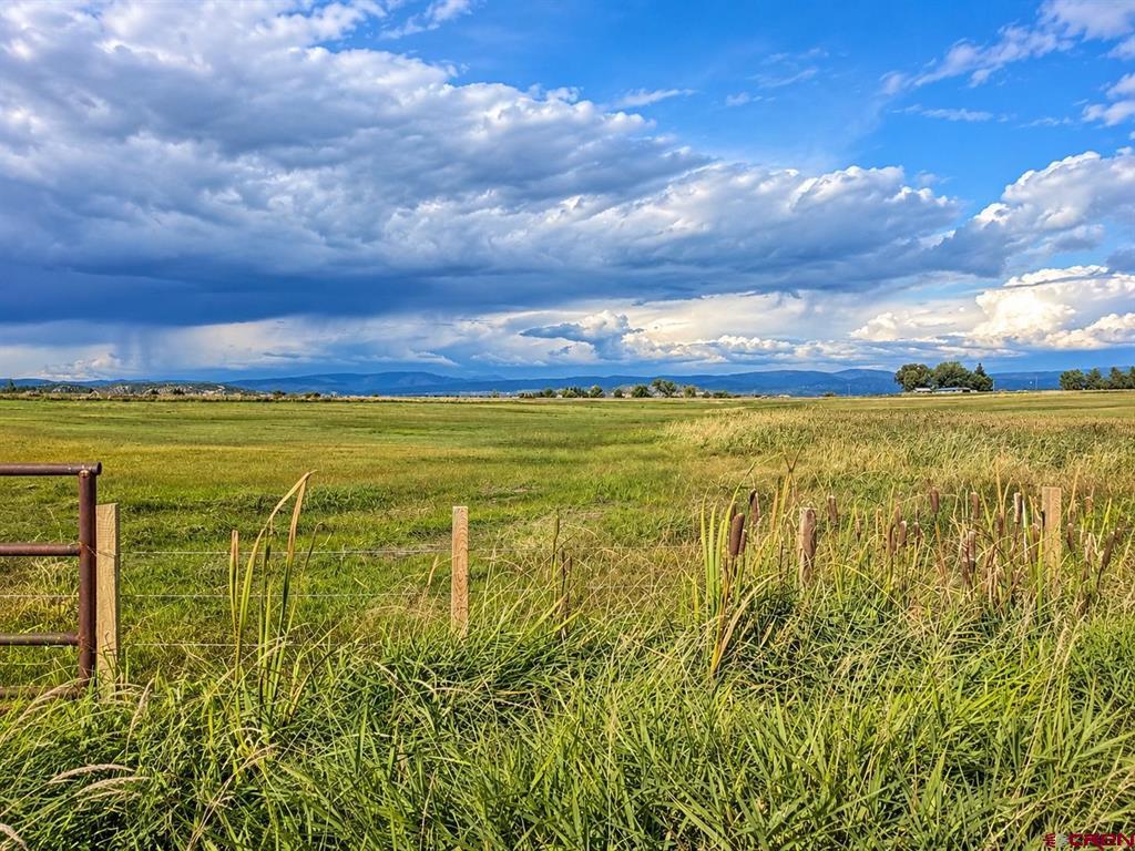 TBD County Road 520