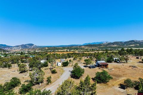 569 CR 233 Durango CO 81301