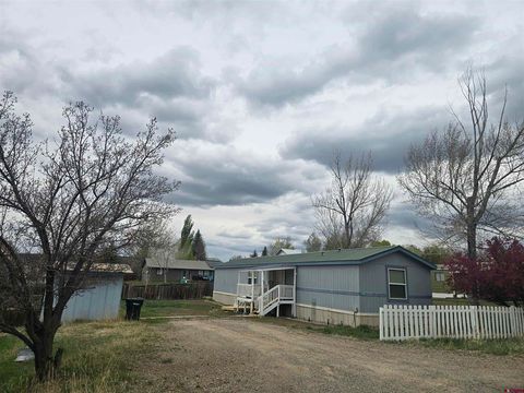 995 N Oak Drive Bayfield CO 81122