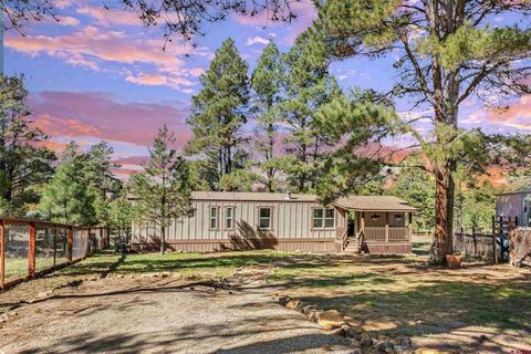 368 Fireside Street Pagosa Springs CO 81147
