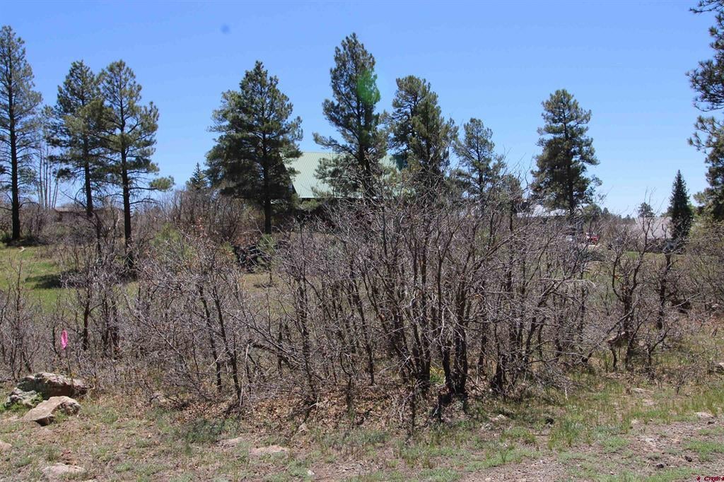 685 Caddy Circle - Photo 3