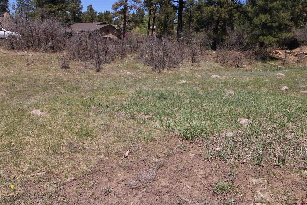 685 Caddy Circle - Photo 4