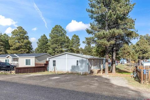 175 Brook Drive Pagosa Springs CO 81147