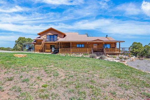 Photo of 382 Sugar Bush Lane, Montrose, CO 81403 (MLS # 834795)