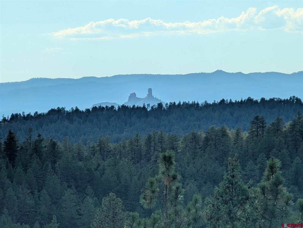 93 & 127 Careys Court