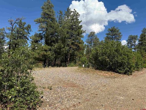 93 & 127 Careys Court Pagosa Springs CO 81147
