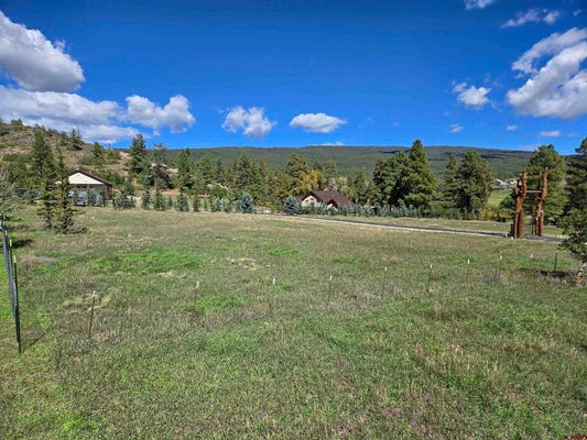 33 PINE RIVER RANCH CIR, BAYFIELD, CO 81122 - Image d896e983fbc109b4dbea7905a6ce99df/3614445531
