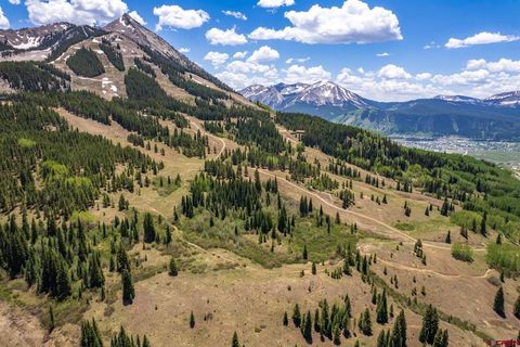 E36 Prospect Drive Mt. Crested Butte CO 81225
