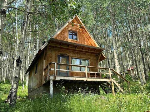 Photo of 37081 Roatcap Road, Paonia, CO 81428 (MLS # 837190)