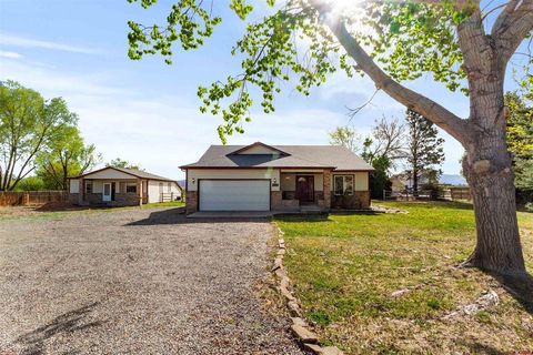 Photo of 14444 6215 Road, Montrose, CO 81403 (MLS # 833787)