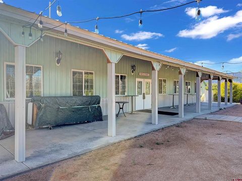 Photo of 5955 Sawmill Mesa Road, Delta, CO 81416 (MLS # 834577)
