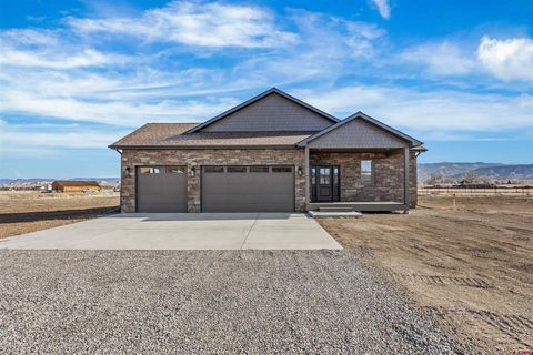 Photo of 21470 Government Springs Road, Montrose, CO 81403 (MLS # 831036)