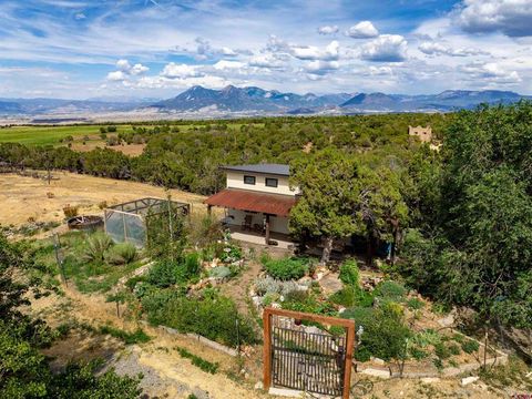 31807 B50 Road Crawford CO 81415