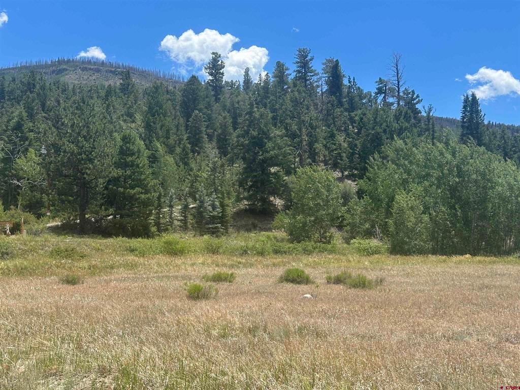 Photo 1 of 13 — 26 Mill Creek Lane, South Fork, CO 81154
