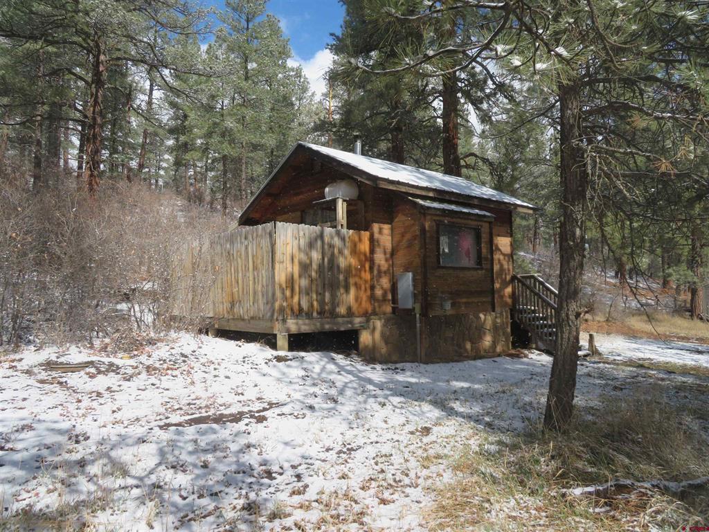 203 Evergreen