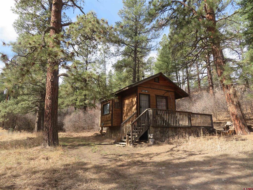 203 Evergreen