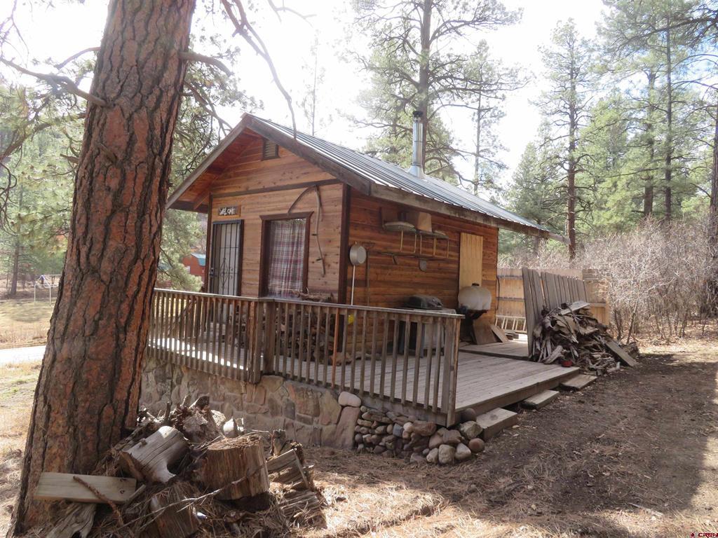 203 Evergreen