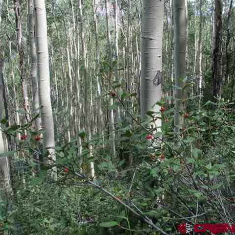 TBD N Henson Creek Road