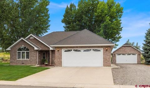 1840 Otter Pond Circle Montrose CO 81401