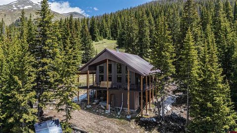 3300 County Road 33A Silverton CO 81433