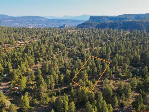 326 Justin's Road Pagosa Springs CO 81147
