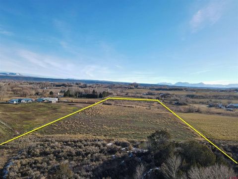 Photo of TBD Bull Mesa Road, Cedaredge, CO 81413 (MLS # 830541)