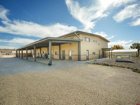 120 Clover Drive Bayfield CO 81122