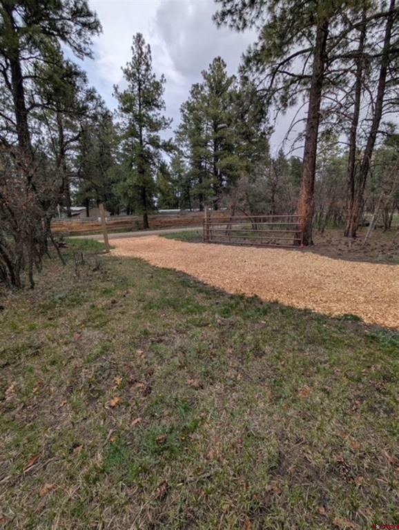 1205 Ute Drive