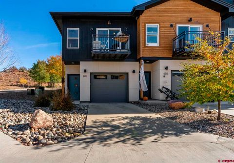 220 Metz Lane 601 Durango CO 81301