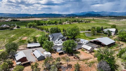 4148 County Road 301 Durango CO 81303