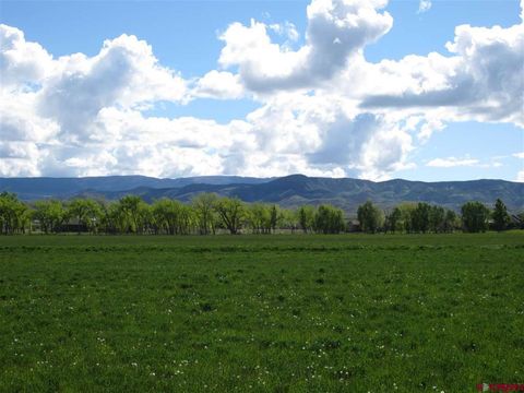 16666 6725 Montrose CO 81401