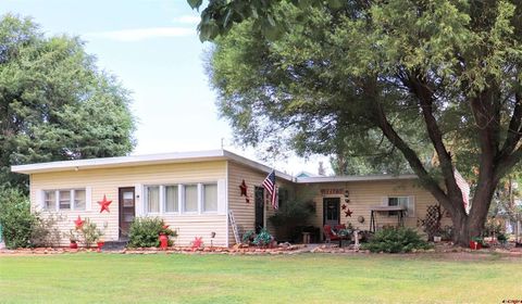 615 S Church Avenue Olathe CO 81425