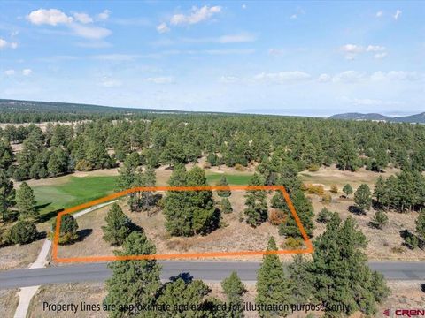 Lot 536 N Badger Trail Ridgway CO 81432