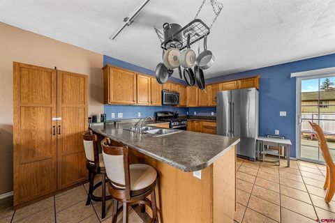 607 Tugwell Lane Bayfield CO 81122