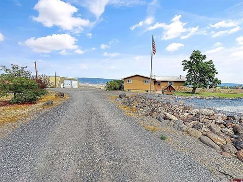 9159 Highway 65 Austin CO 81410