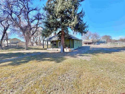 Photo of 725 6400 Road, Montrose, CO 81403 (MLS # 833458)
