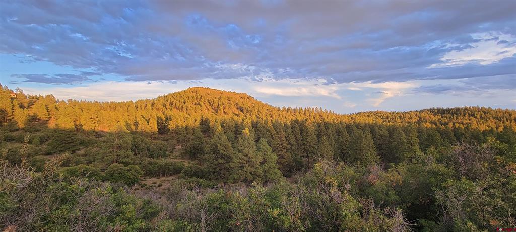 Lot 8 Beaver Creek Ranch Dr