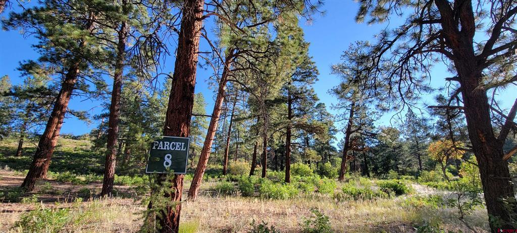 Lot 8 Beaver Creek Ranch Dr