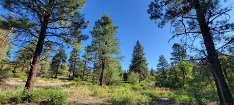 Lot 8 Beaver Creek Ranch Dr Bayfield CO 81122