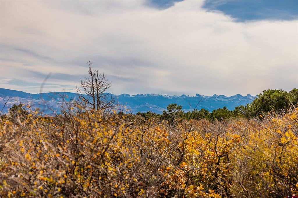 TBD Sims Mesa Road