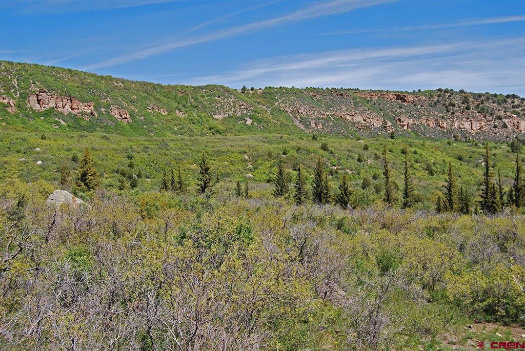 TBD Old HWY 90 MONTROSE COUNTY